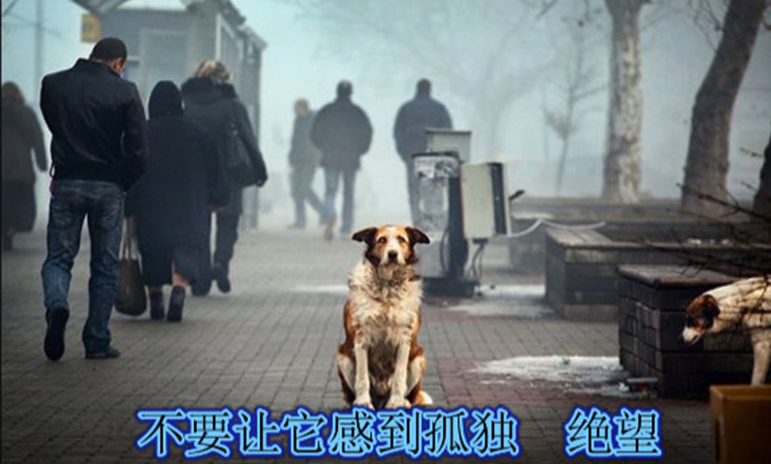 巴南巴南爱影圈微博微信转发案例